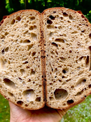 Rustic Sourdough Crumb